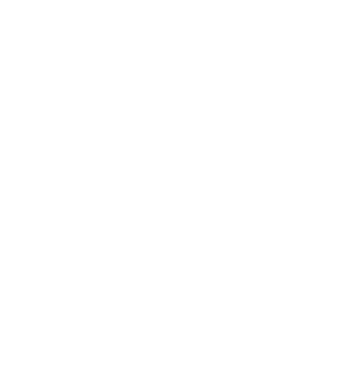 HAVEL SLEEK